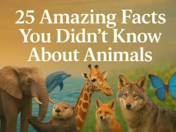 25 Amazing Facts You Didn’t Know About Animals