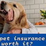 Is Pet Insurance Worth It? The Real Costs of Vet Bills