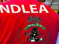 NDLEA intercepts ‘terror drug’ captagon in Kwara