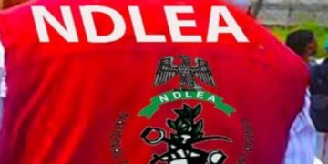 NDLEA intercepts ‘terror drug’ captagon in Kwara