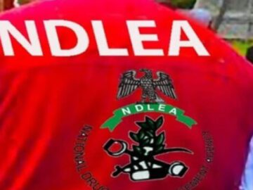 NDLEA intercepts ‘terror drug’ captagon in Kwara