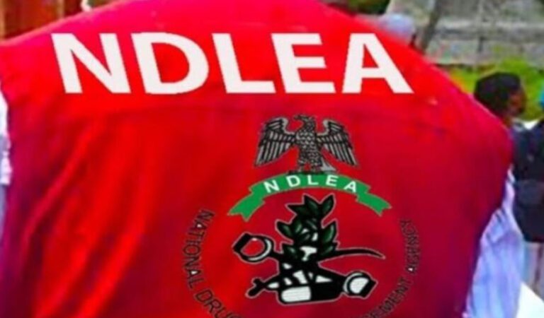 NDLEA intercepts ‘terror drug’ captagon in Kwara as bizman excretes 45 cocaine wraps
