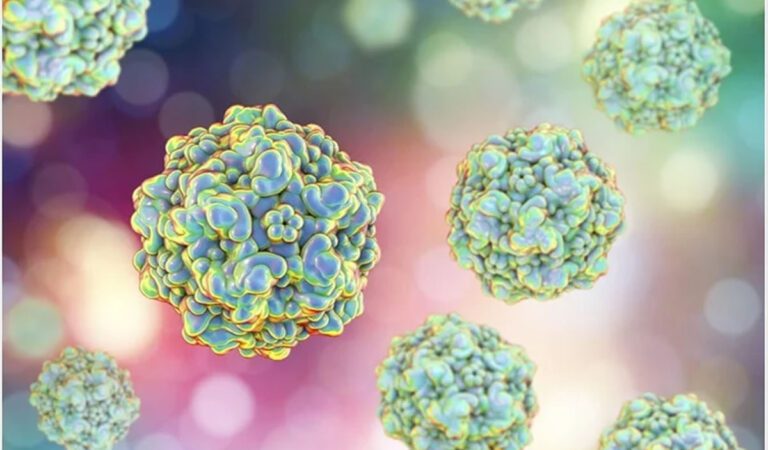 Parvovirus detected in wastewater throughout Northern California